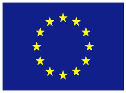 EU Flag